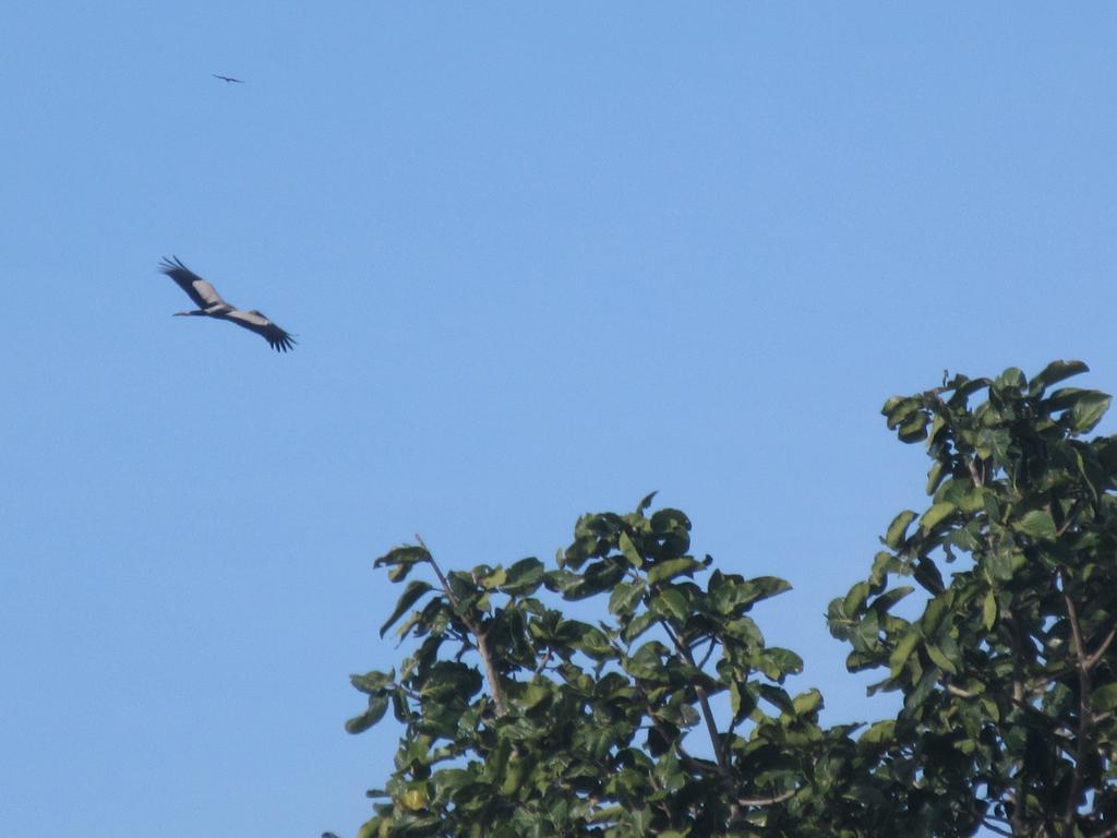 सहारा Nature Walk Kandy