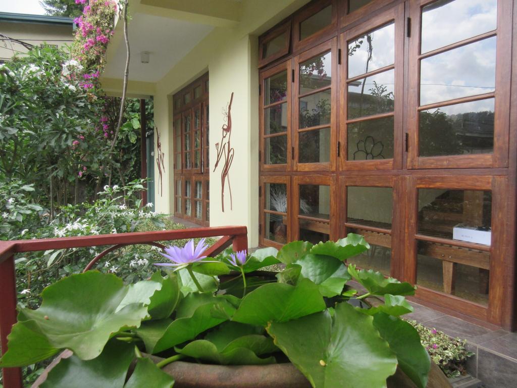 सहारा Nature Walk