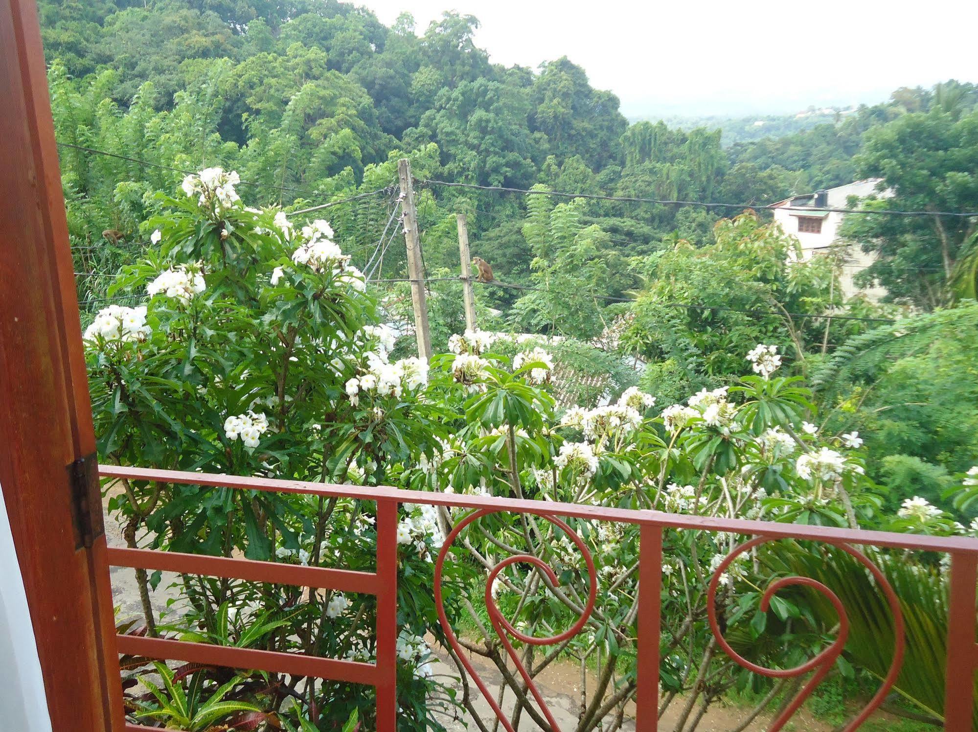 सहारा Nature Walk 3*